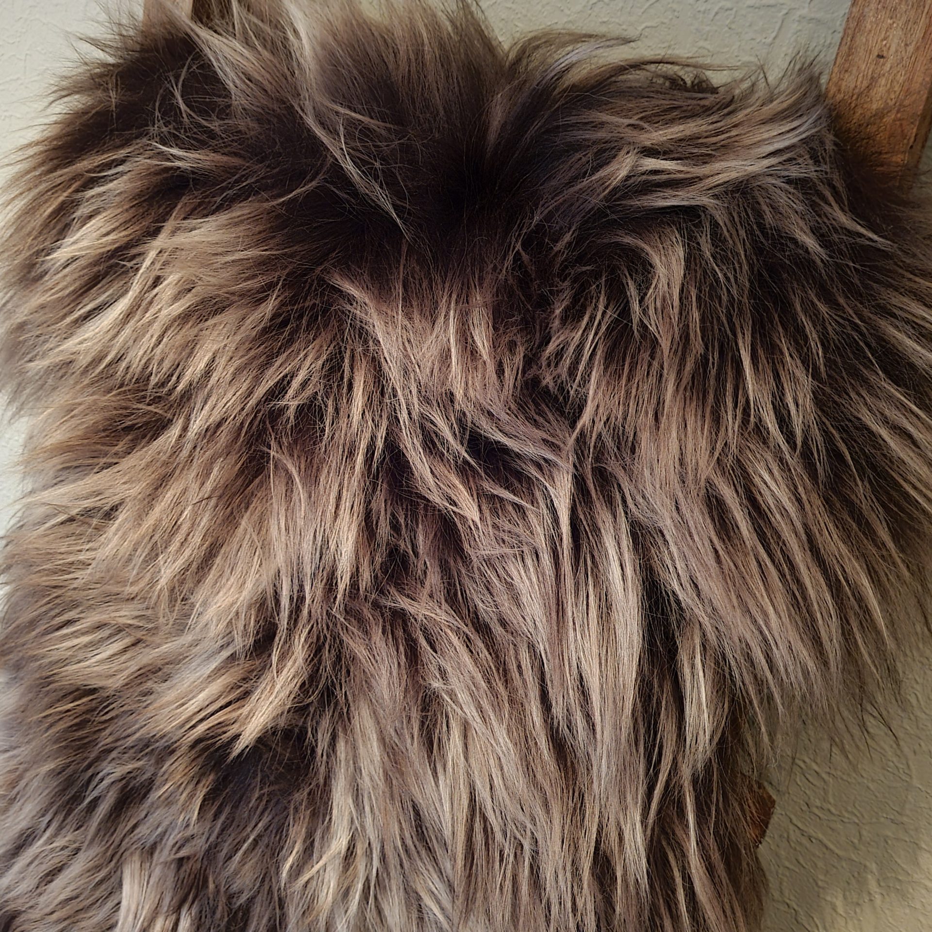 IJslands schapenvacht. Chestnut Brown- Brisa. - Afbeelding 2
