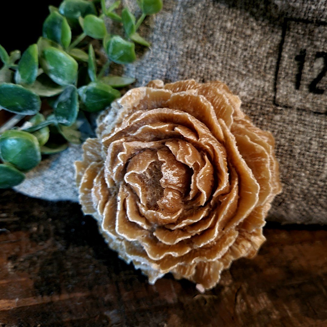 Geur roos- Amber. - Afbeelding 6