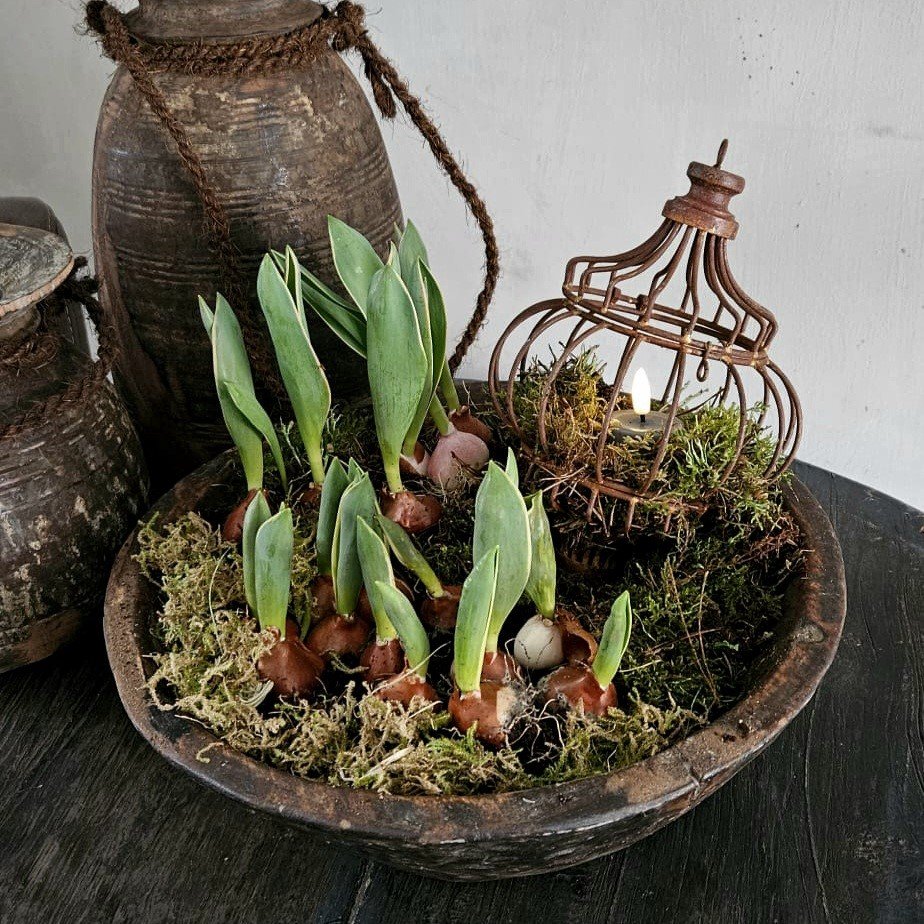 Metalen draadbol hanger. Roest. - Afbeelding 3