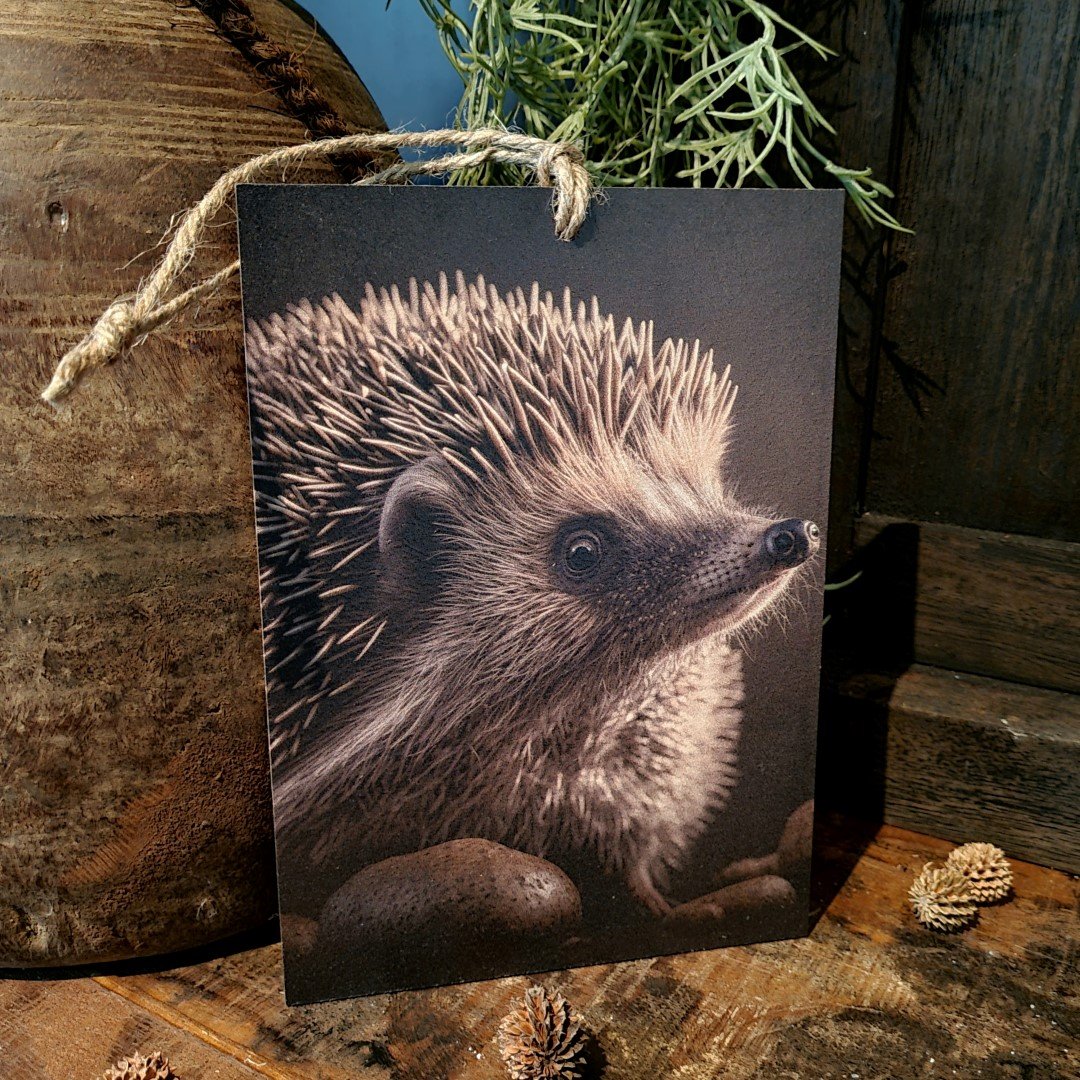 Houten bordje met touw. Egel. - Afbeelding 3