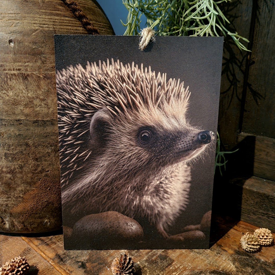 Houten bordje met touw. Egel. - Afbeelding 2