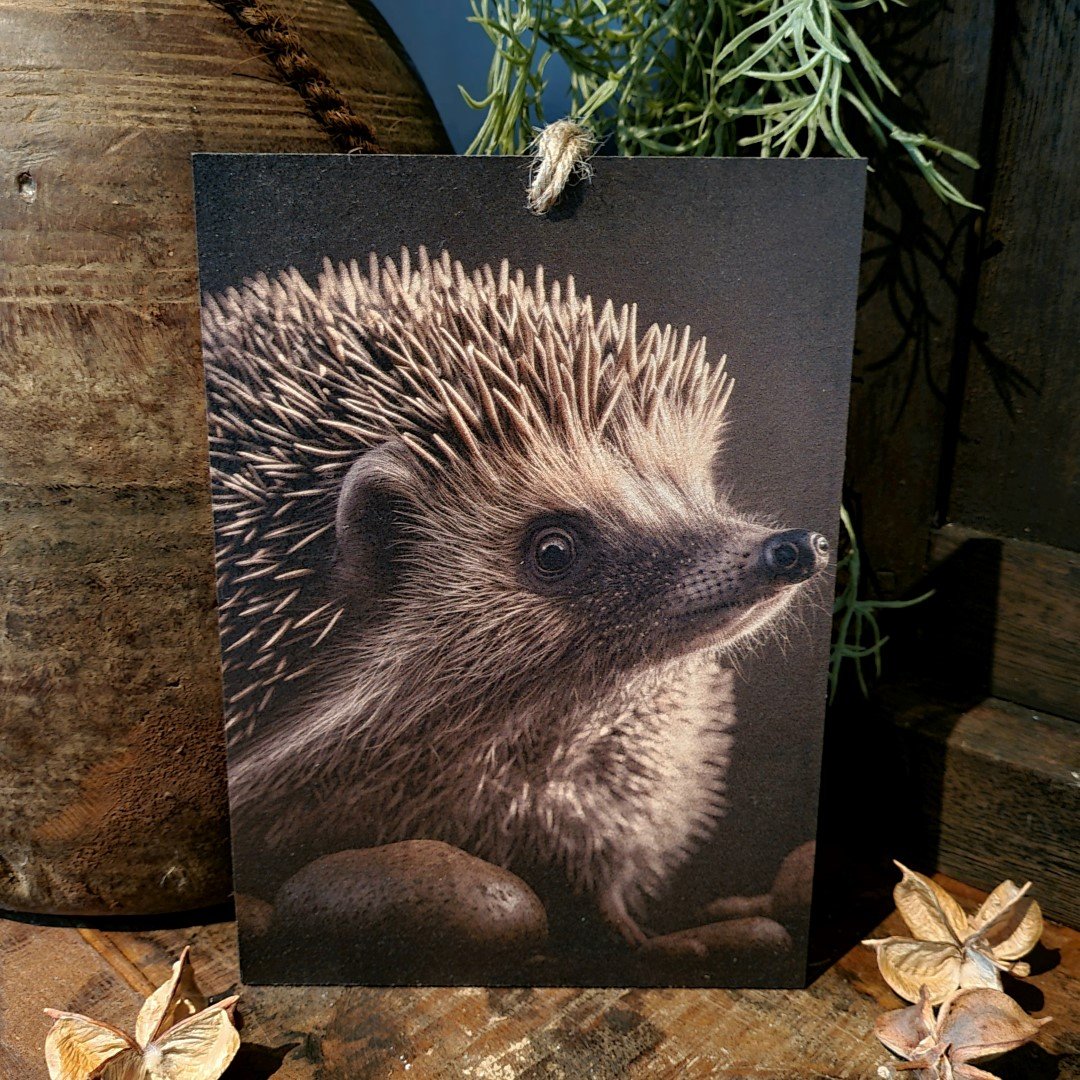 Houten bordje met touw. Egel.