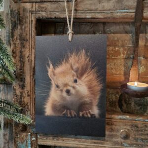 Houten bordje met touw. Eekhoorn.