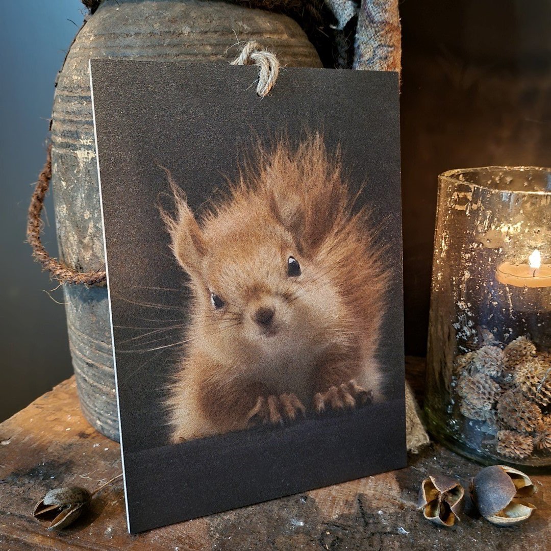 Houten bordje met touw. Eekhoorn. - Afbeelding 3