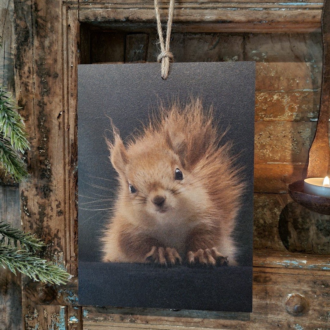 Houten bordje met touw. Eekhoorn. - Afbeelding 2