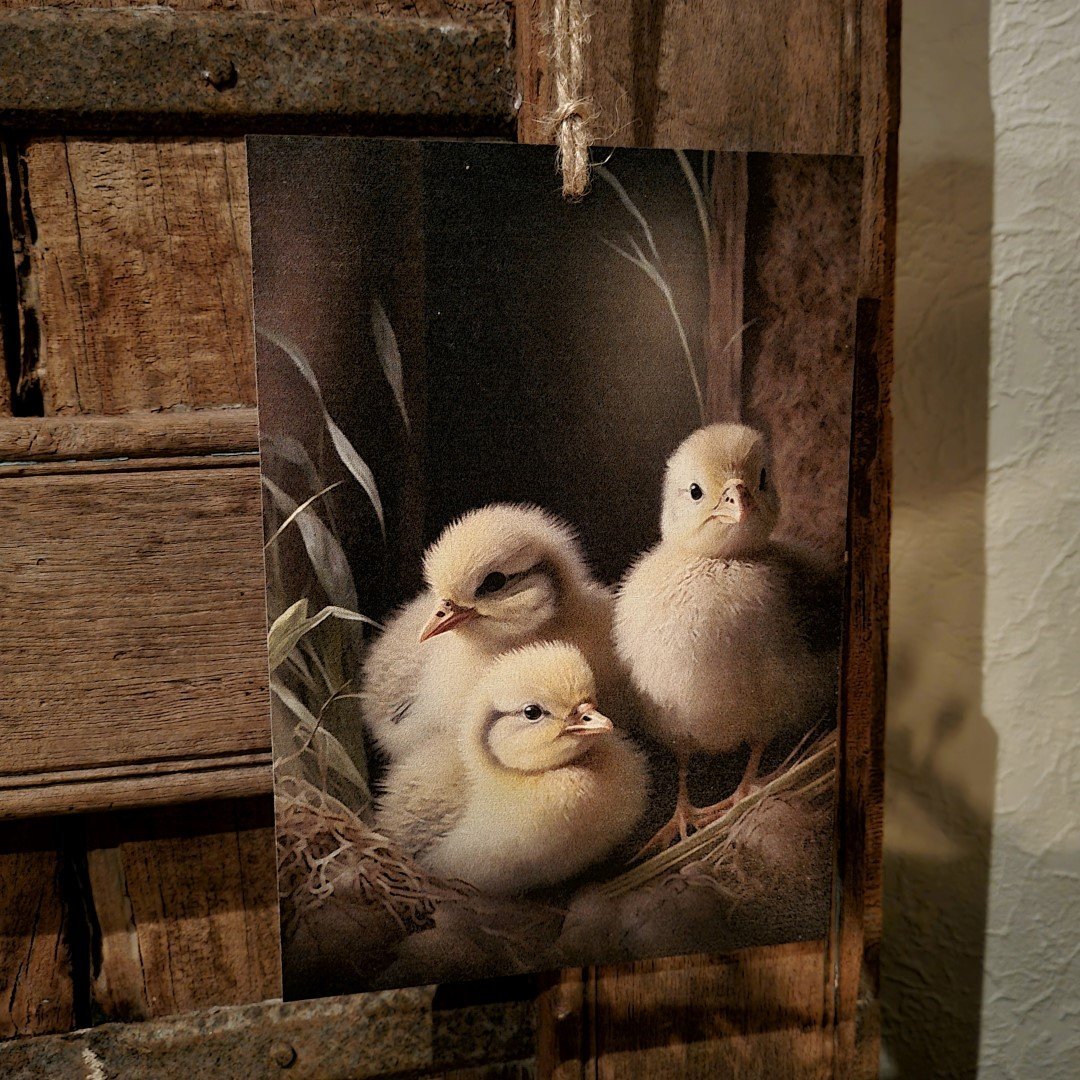 Houten bordje met touw. Kuikentjes. - Afbeelding 6