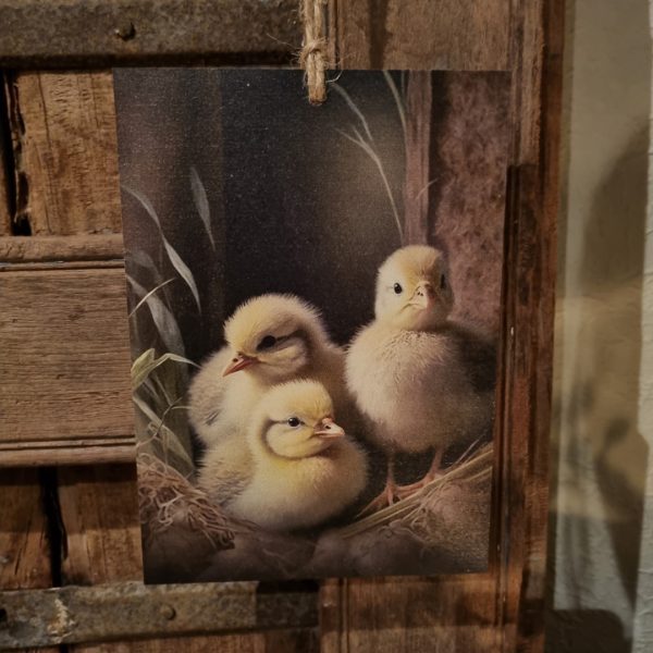 Houten bordje met touw. Kuikentjes. - Afbeelding 5