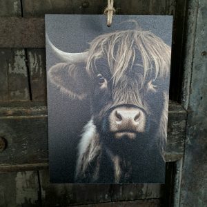 Houten bordje met touw. Hooglander jong.