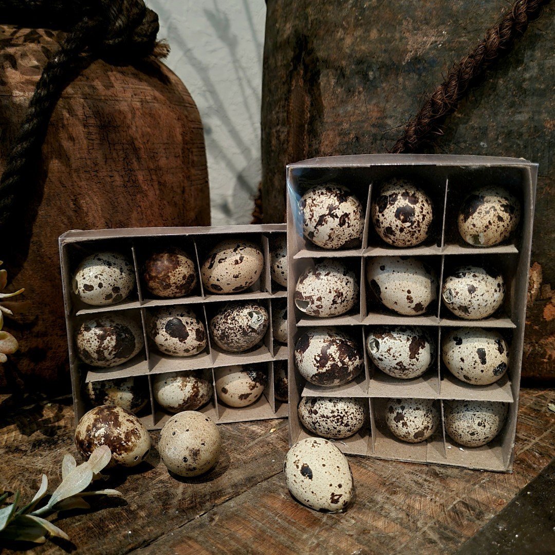 Doosje met 12 kwarteleieren. - Afbeelding 6