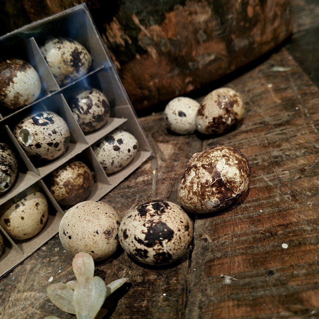 Doosje met 12 kwarteleieren. - Afbeelding 3