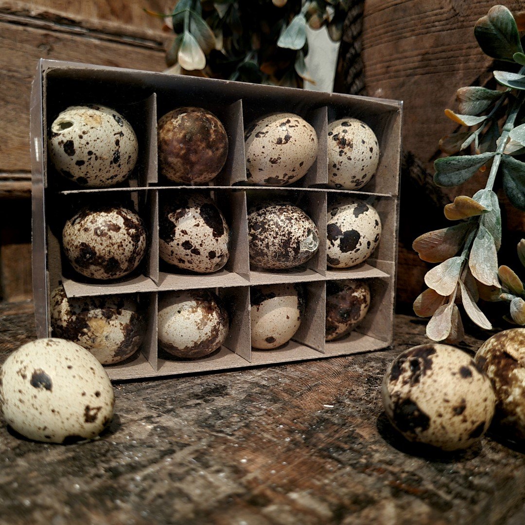 Doosje met 12 kwarteleieren. - Afbeelding 5