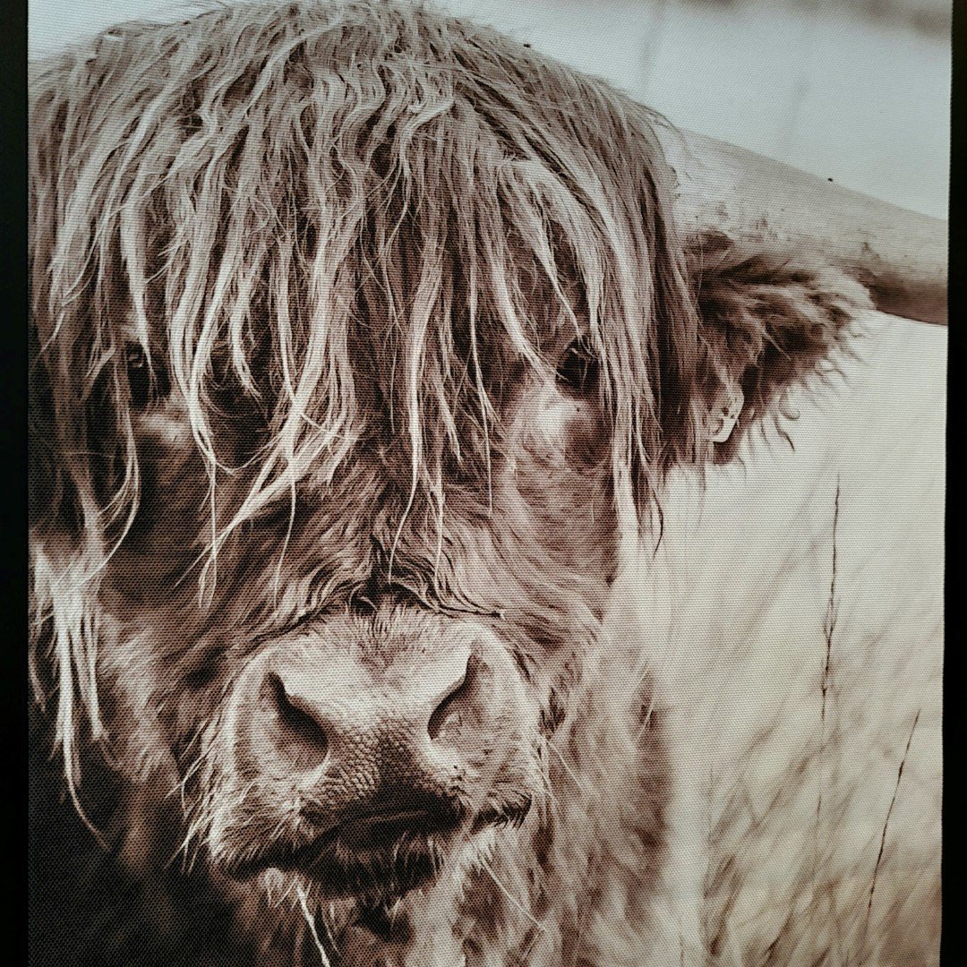 Wanddoek "Landelijk en sfeervol". Hooglander. 30x40 cm. - Afbeelding 6