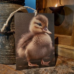 Houten bordje met touw || Eendje.