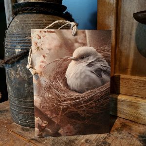 Houten bordje met touw || Broedend vogeltje.