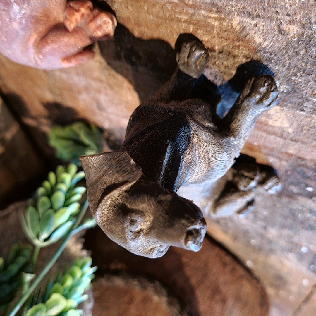 Marokkaanse Geurblokjes- Teckel || Black Musk. - Afbeelding 5