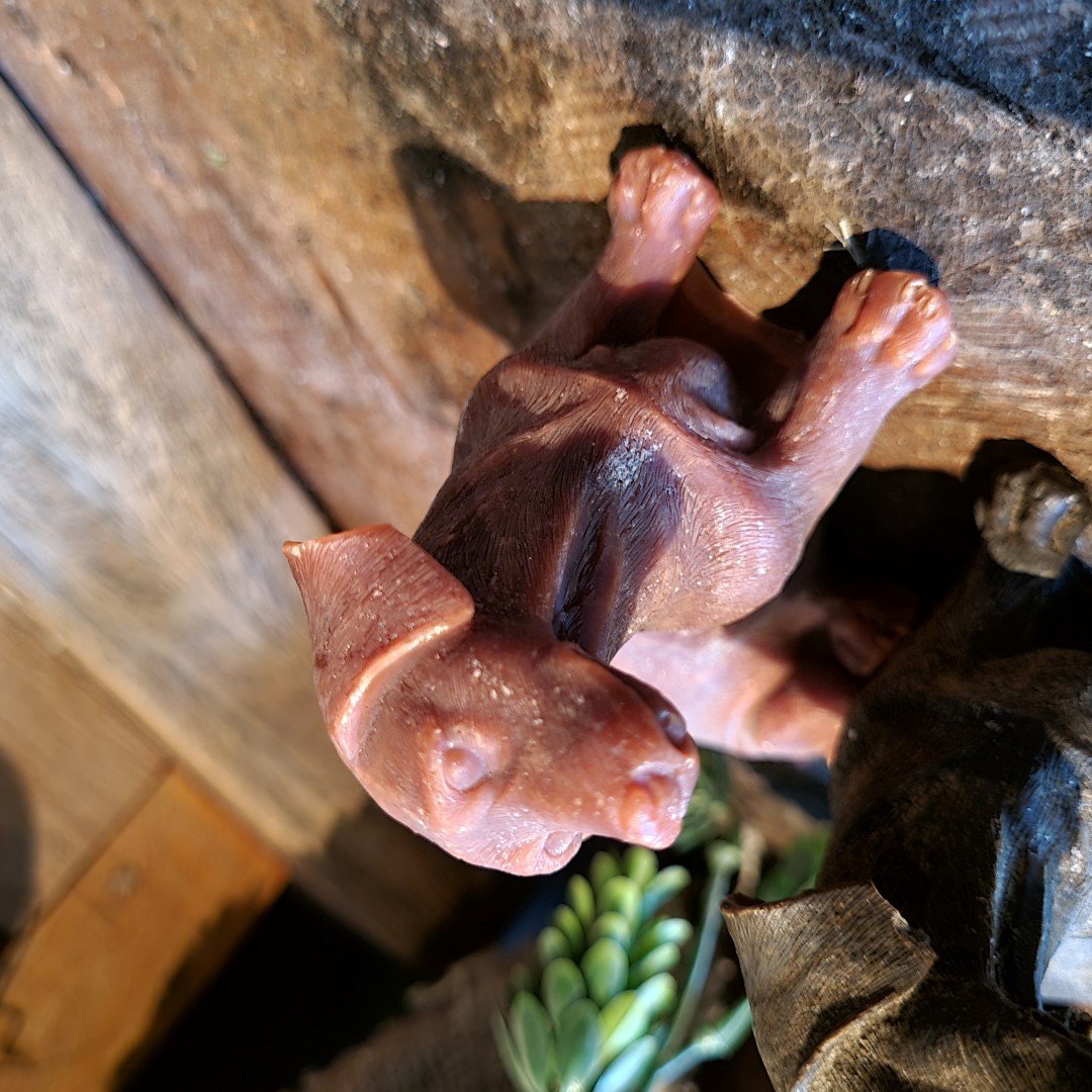 Marokkaanse Geurblokjes- Teckel || Amber. - Afbeelding 3