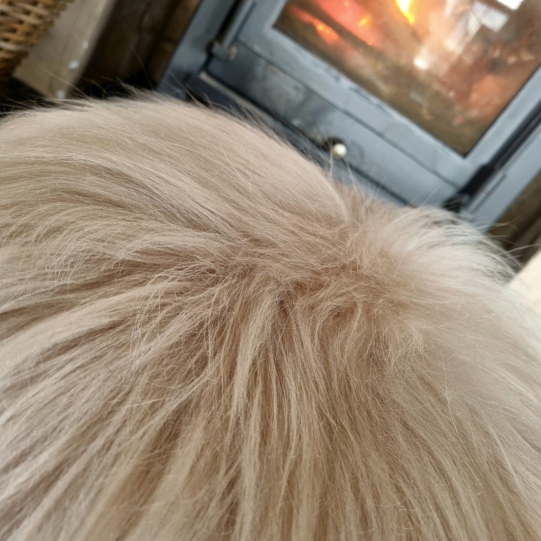 IJslands schapenvacht Chairpad || Nude. - Afbeelding 4