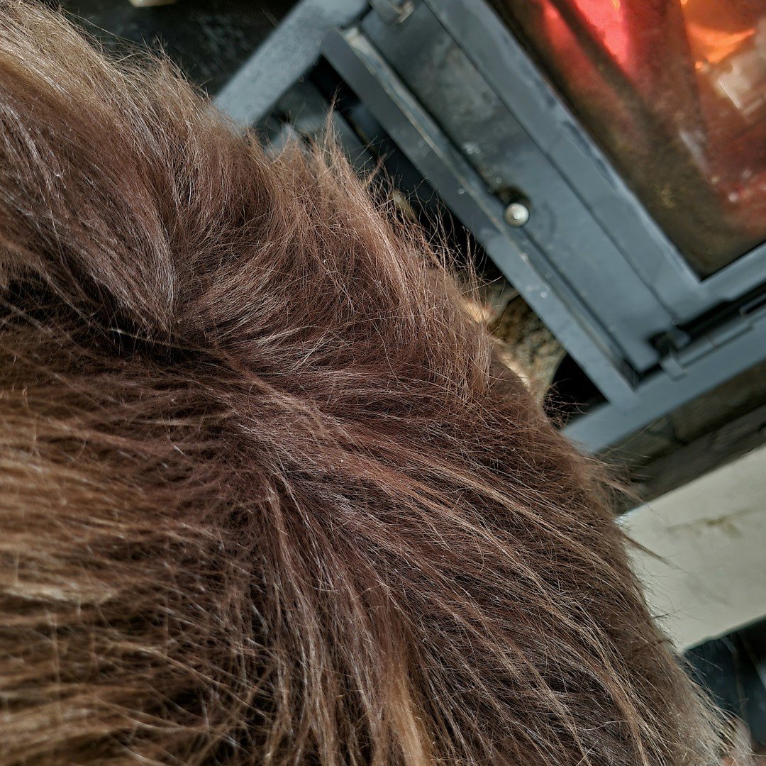 IJslands schapenvacht Chairpad || Chestnut Brown - Afbeelding 4