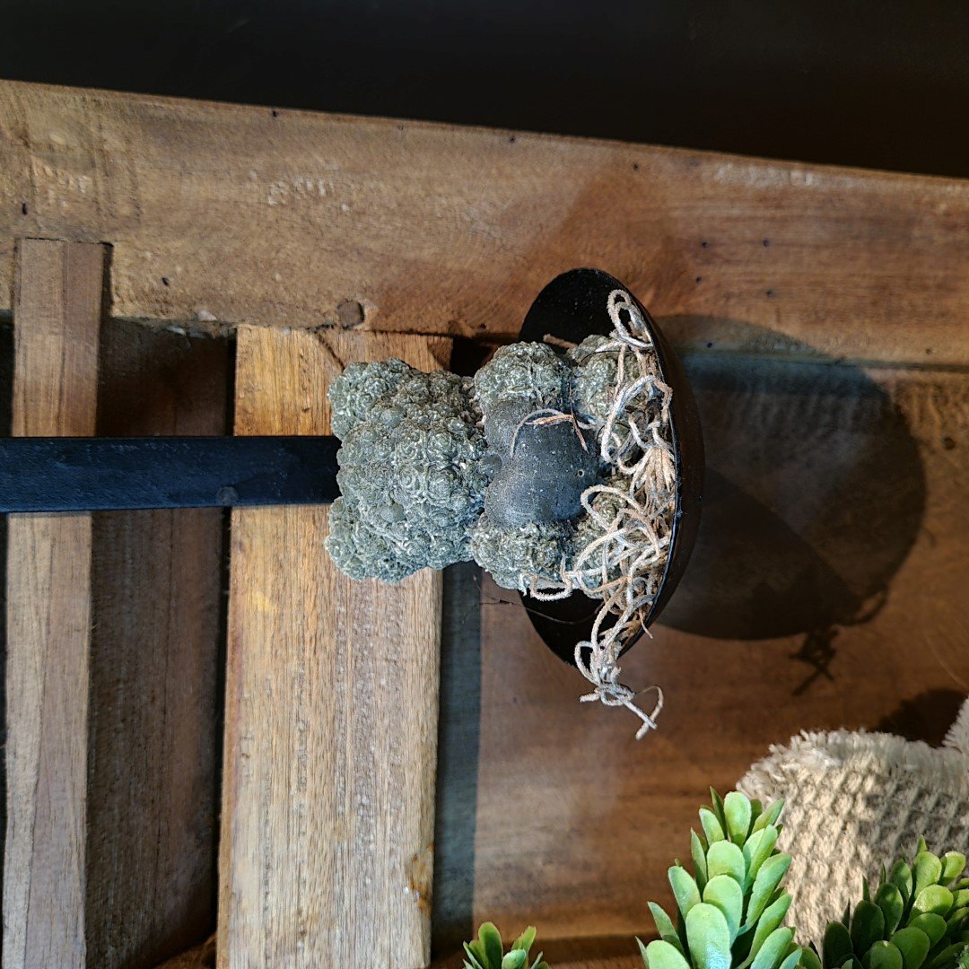 Marokkaanse Geurblokjes- Beertje || Patchouli. - Afbeelding 2