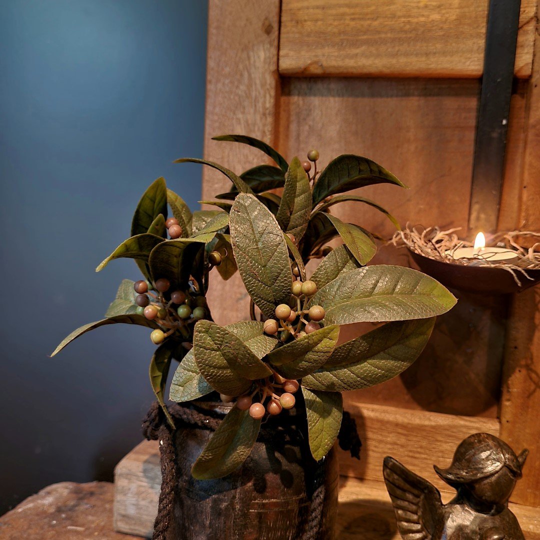 Boeketje Laurier en Bes. - Afbeelding 3