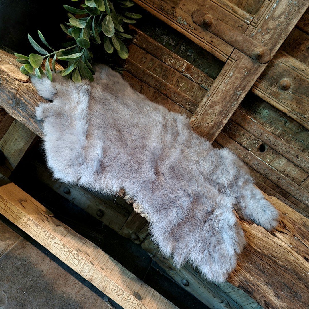 Konijnenvacht- Grijs. - Afbeelding 3