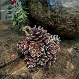 Dennenappel Bol met touw- Zilver