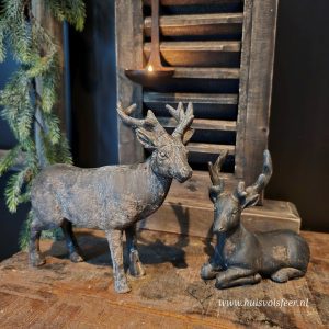 Hert Bouncer- Liggend || Medium.