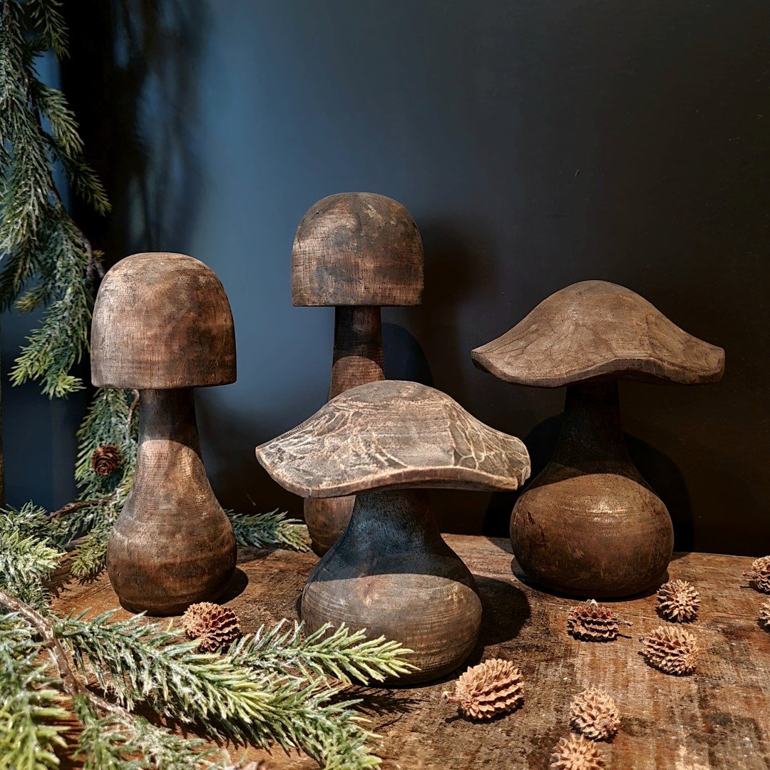 Paddenstoel van hout- Breed model || 15 cm.