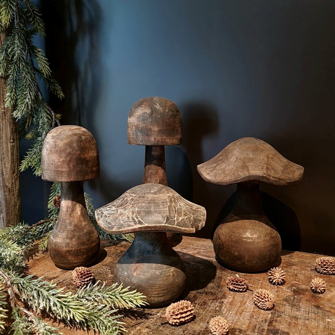 Paddenstoel van hout- Breed model || 15 cm. - Afbeelding 2