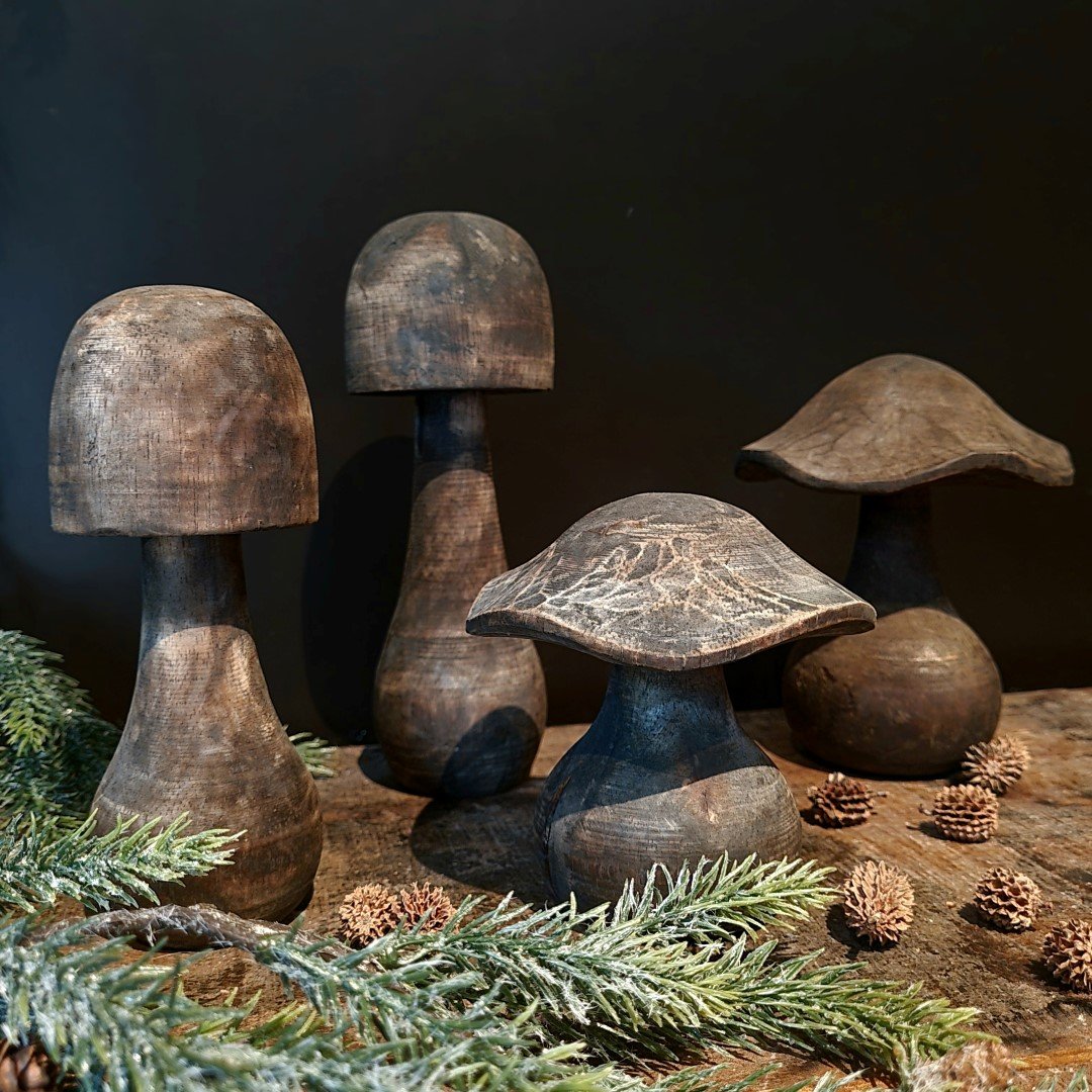 Paddenstoel van hout- Breed model || 15 cm. - Afbeelding 3