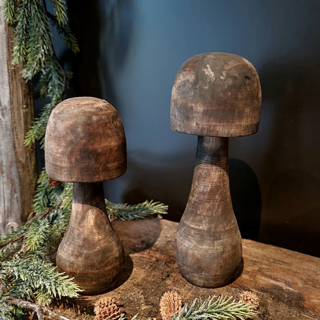 Paddenstoel van hout- Hoog model || 20 cm. - Afbeelding 5