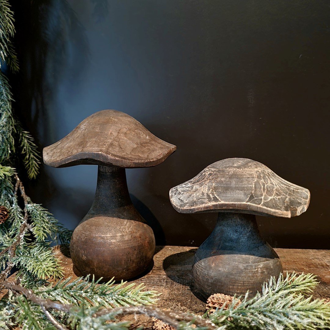 Paddenstoel van hout- Breed model || 15 cm. - Afbeelding 4