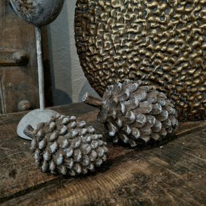 Dennenappel liggend- IJsbruin || M.