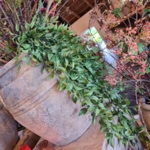 Hanger- Lipstick Grey || Brynxz.