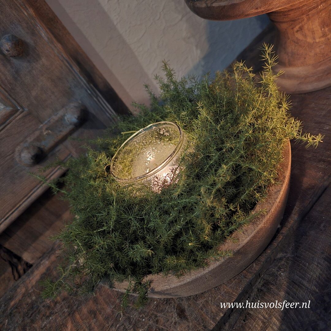 Krans- Aspargus || 20 cm. - Afbeelding 3