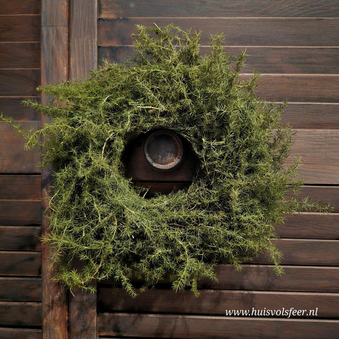 Krans- Aspargus || 20 cm. - Afbeelding 4