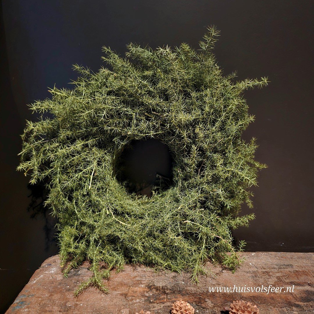 Krans- Aspargus || 20 cm. - Afbeelding 5