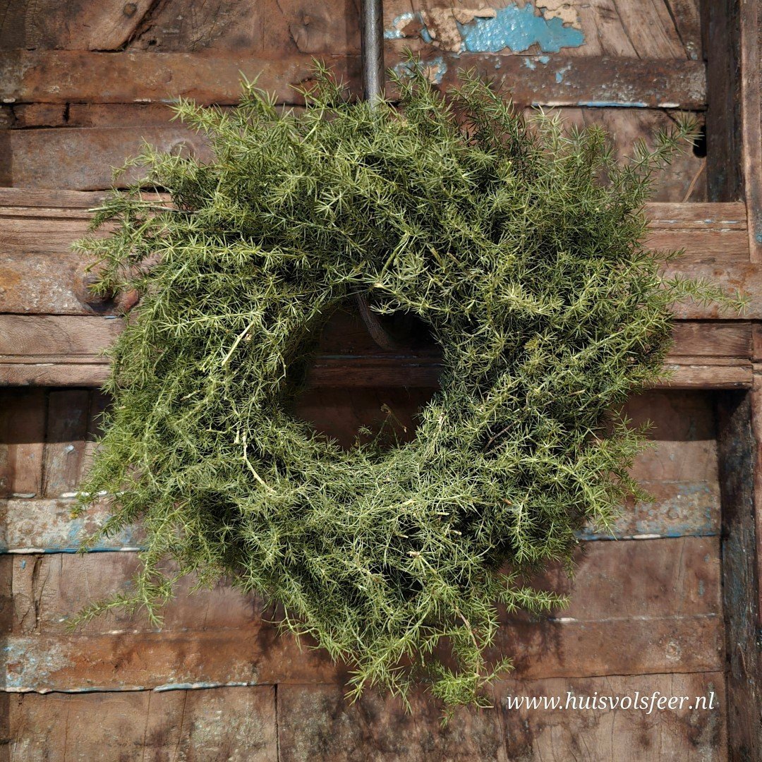 Krans- Aspargus || 20 cm. - Afbeelding 6