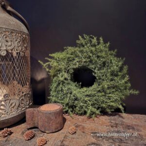 Krans- Aspargus || 20 cm.