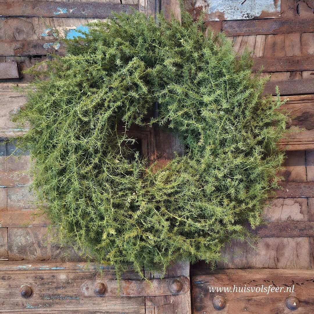 Krans- Aspargus || 35 cm. - Afbeelding 2