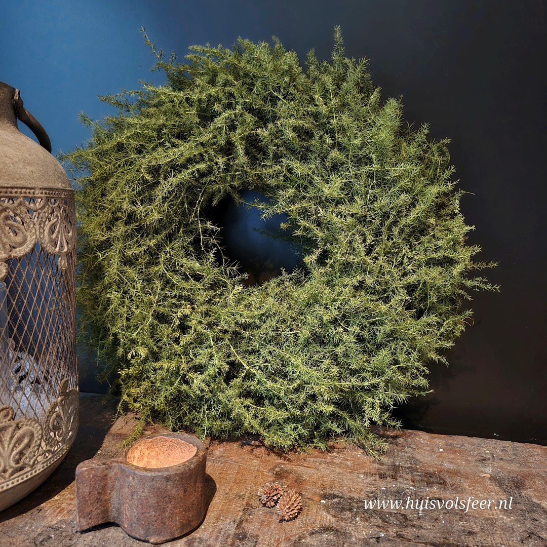 Krans- Aspargus || 35 cm.