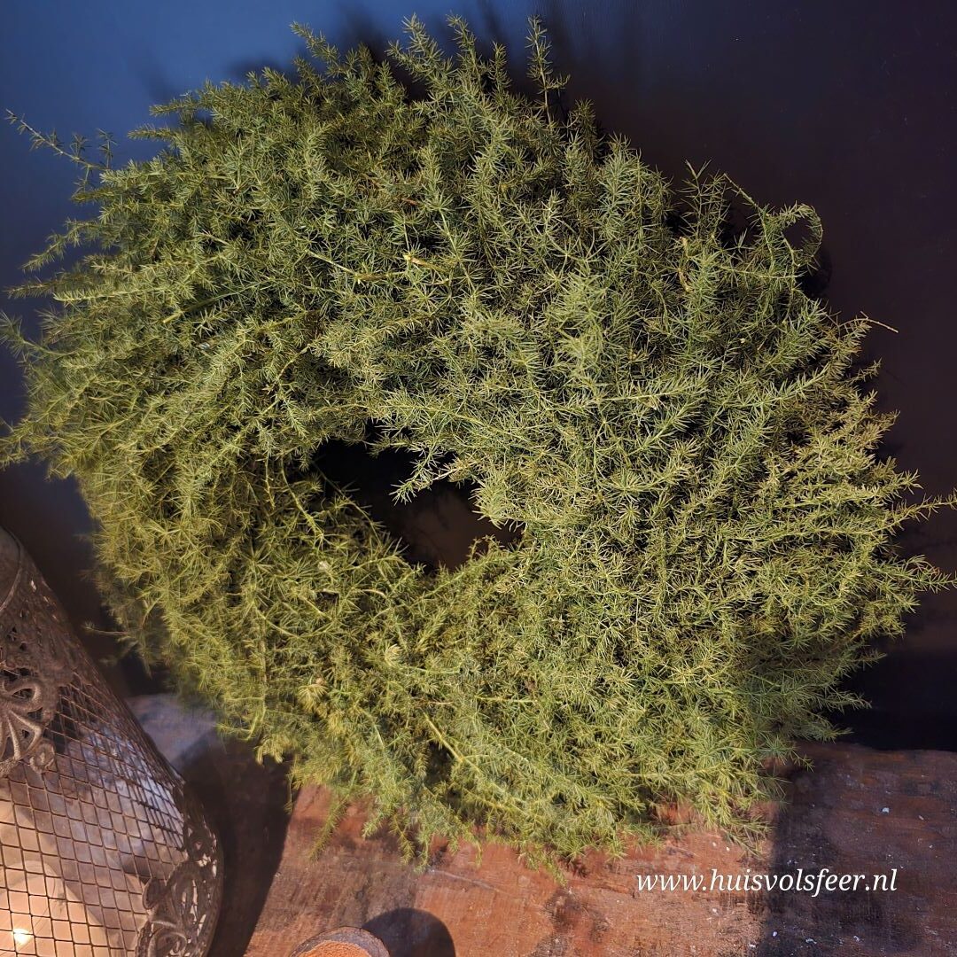 Krans- Aspargus || 35 cm. - Afbeelding 3