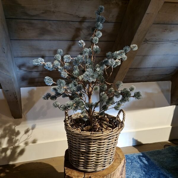 X- Tree Larix Grey Green- 80 cm || Brynxz. - Afbeelding 2