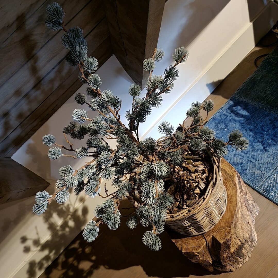 X- Tree Larix Grey Green- 80 cm || Brynxz. - Afbeelding 4