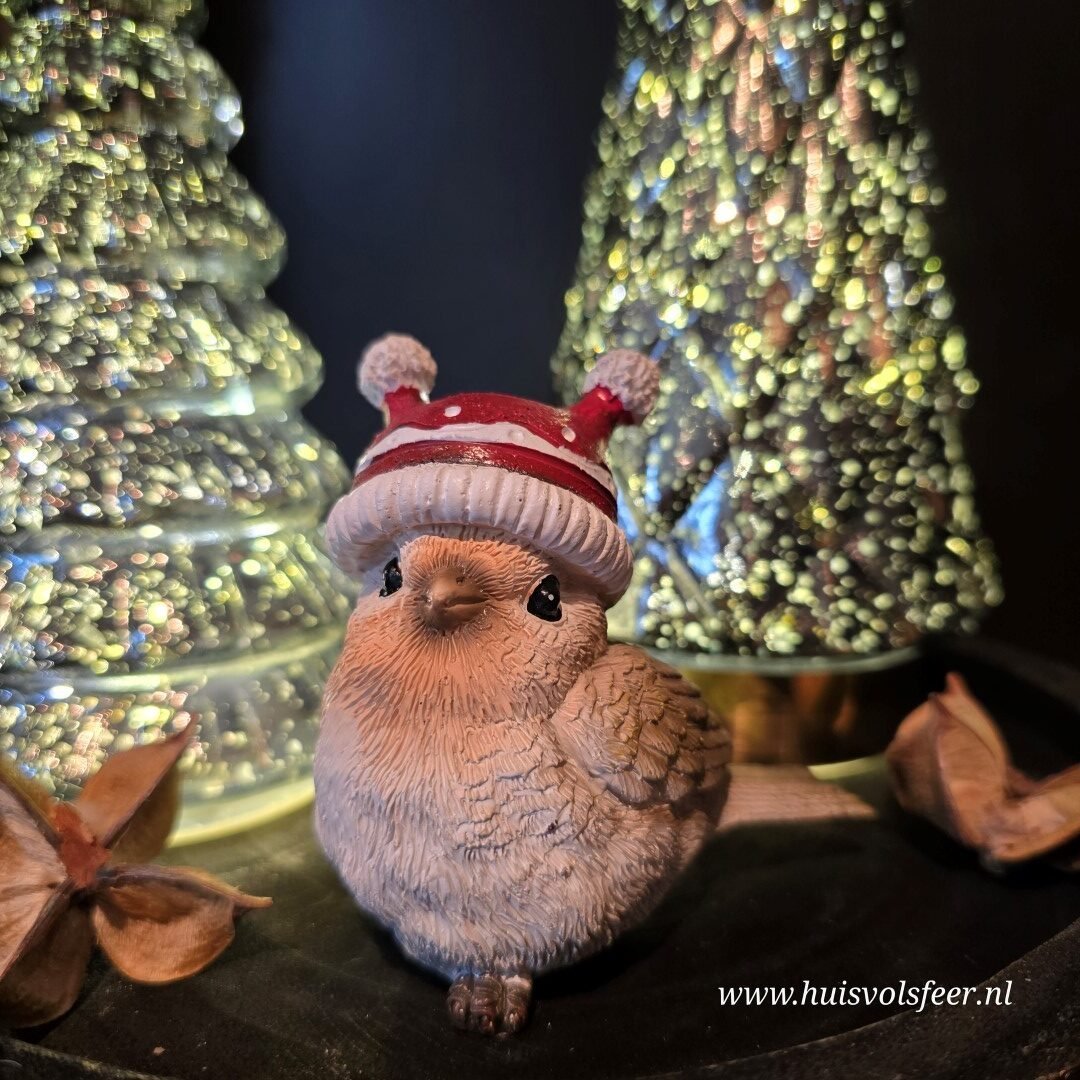 Vogeltje met Muts. - Afbeelding 4