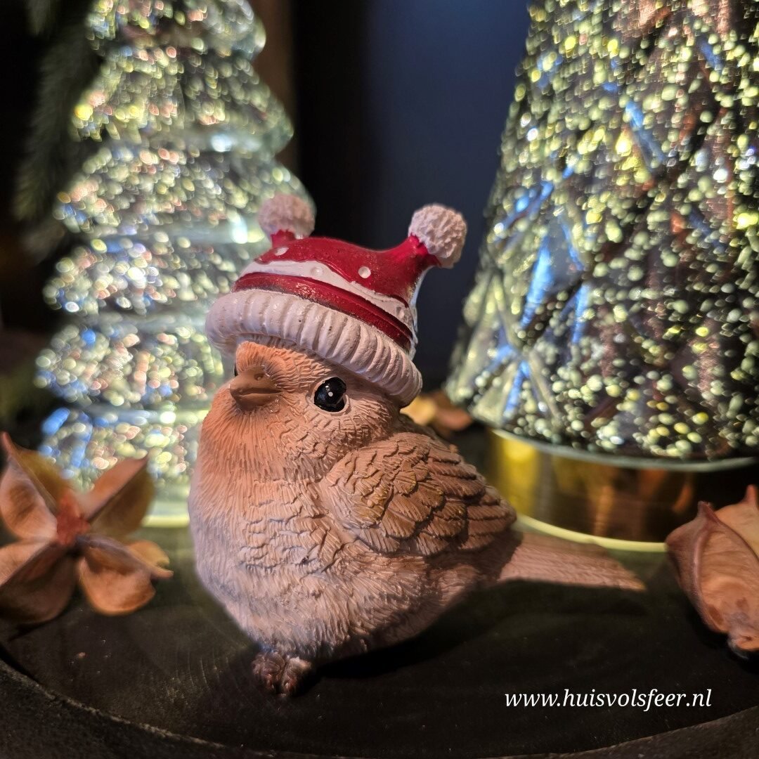 Vogeltje met Muts. - Afbeelding 6