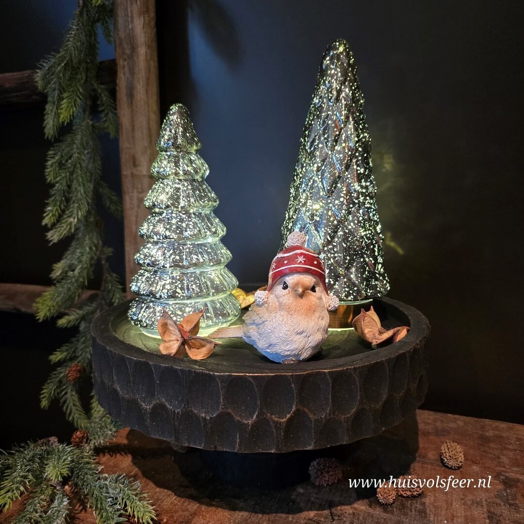 Vogeltje met Muts. - Afbeelding 3