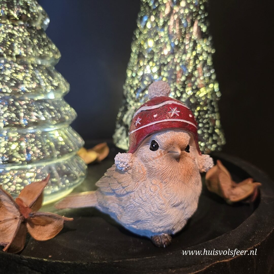 Vogeltje met Muts. - Afbeelding 5