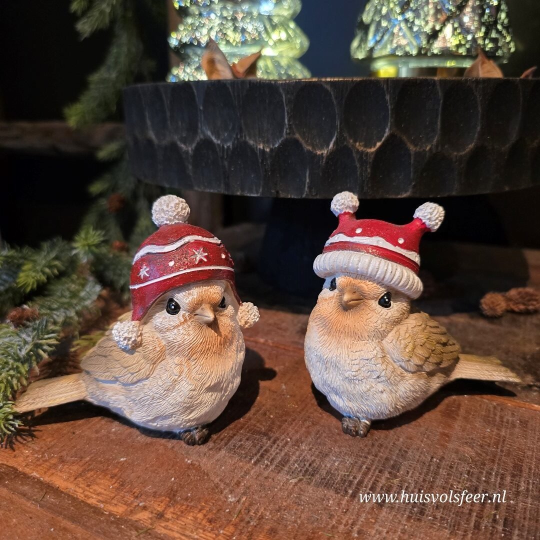 Vogeltje met Muts.