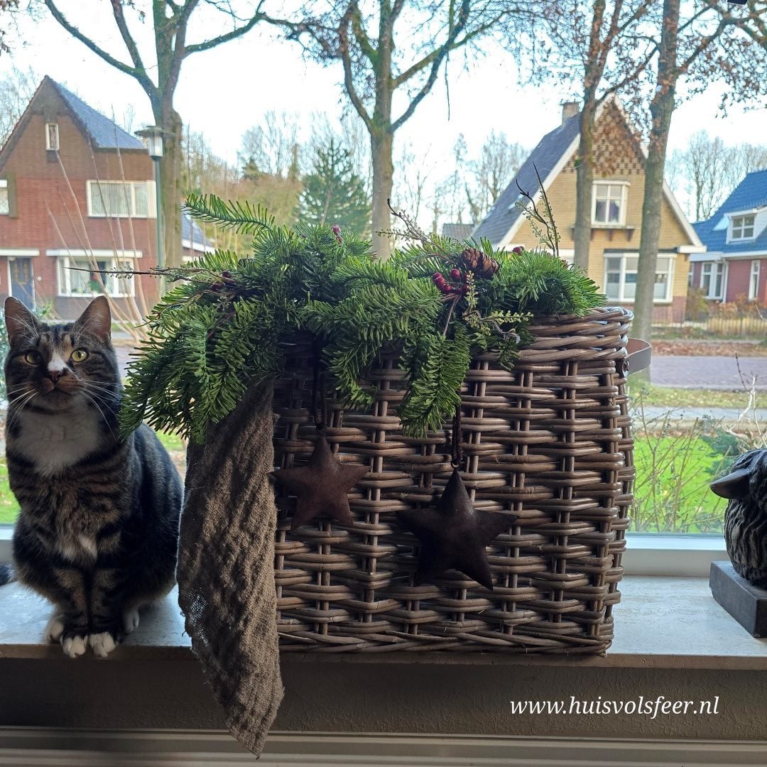 Landelijke Rattan Mand met Leren Handvatten || Large. - Afbeelding 4